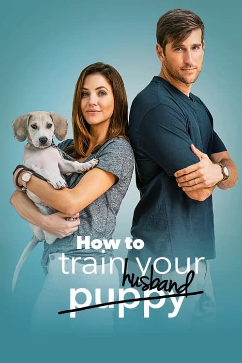 How to Train Your Husband or (How to Pick Your Second Husband First)