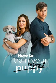 How to Train Your Husband or (How to Pick Your Second Husband First) poster